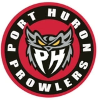 Port Huron Prowlers 2015 16-Pres Alternate Logo2 vinyl decal